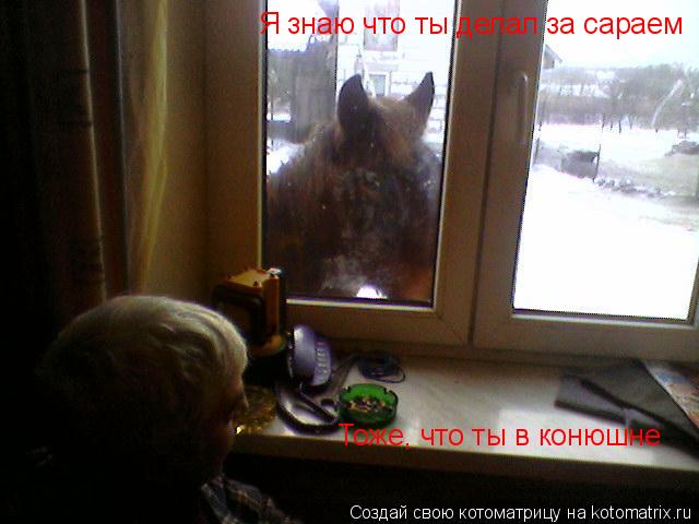 Я знаю что ты делал за сараем Я знаю что ты делал за сараем Тоже, что ты в конюшне... Котоматрица: Я знаю что ты делал за сараем Я знаю что ты делал за сараем Тоже, что ты в конюшне