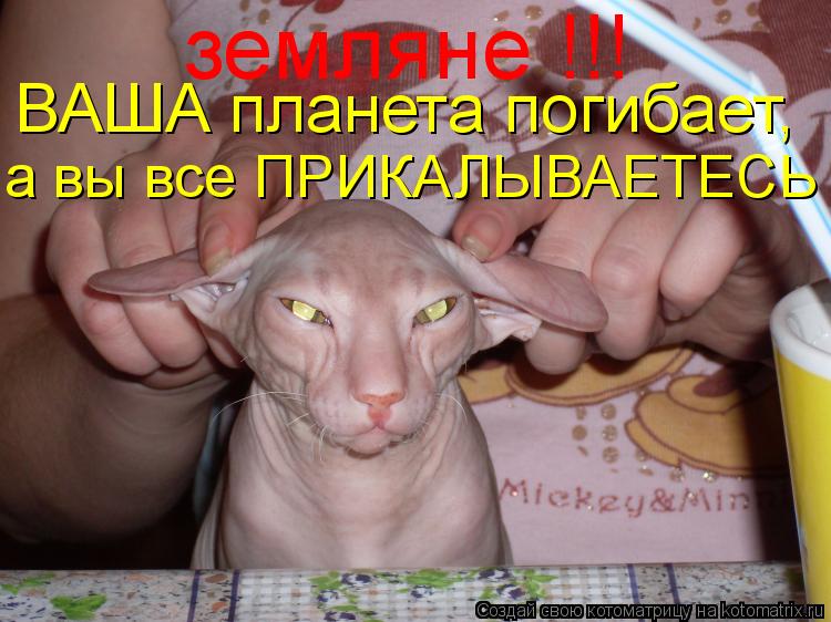 Котоматрица: ВАША планета погибает, а вы все ПРИКАЛЫВАЕТЕСЬ !!! земляне !!!