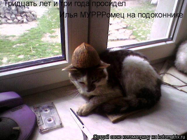 Котоматрица: Тридцать лет и три года просидел  Илья МУРРРомец на подоконнике