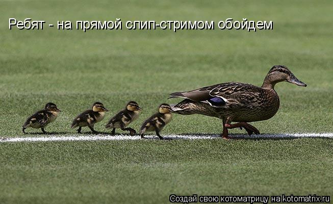 Котоматрица: Ребят - на прямой слип-стримом обойдем