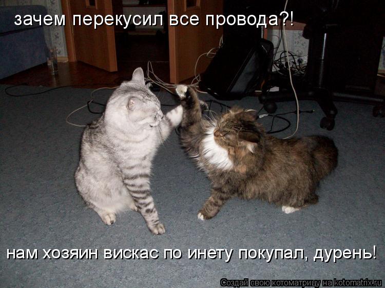Котоматрица: зачем перекусил все провода?! нам хозяин вискас по инету покупал, дурень!