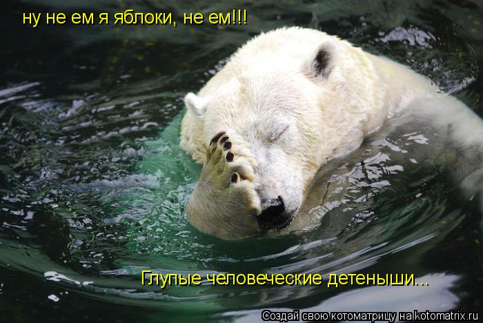 Котоматрица: ну не ем я яблоки, не ем!!! Глупые человеческие детеныши...