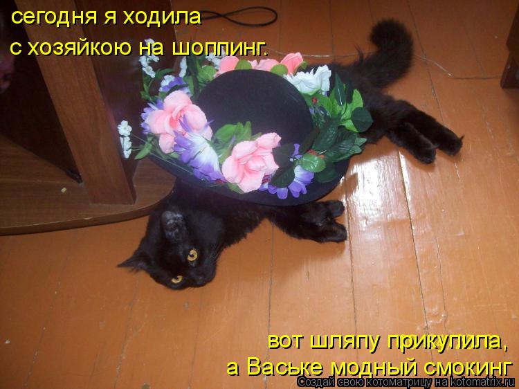 Котоматрица: сегодня я ходила с хозяйкою на шоппинг. вот шляпу прикупила, а Ваське модный смокинг