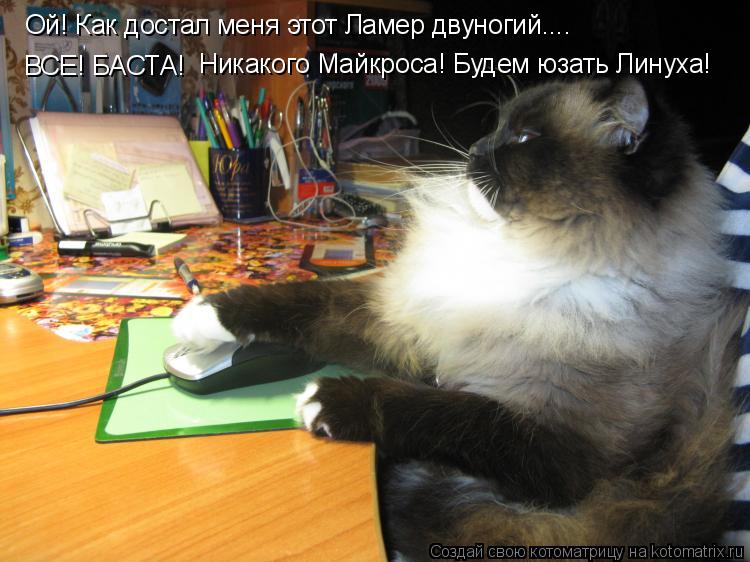 Котоматрица: Ой! Как достал меня этот Ламер двуногий.... ВСЕ! БАСТА! Никакого Майкроса! Будем юзать Линуха!