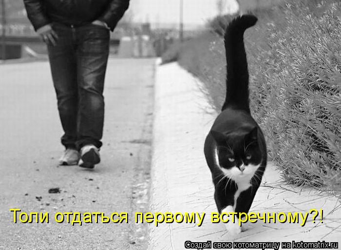 Котоматрица: Толи отдаться первому встречному?!