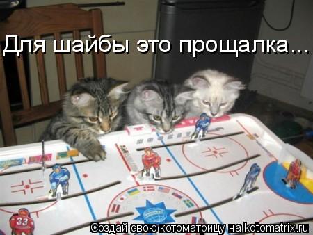 Котоматрица: Для шайбы это прощалка...