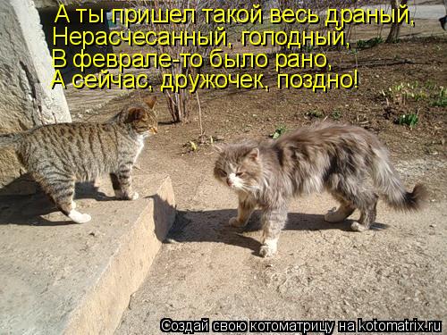 А ты пришел такой весь драный, Нерасчесанный, голодный, В феврале-то было рано, А сейчас, дружочек, п... Котоматрица: А ты пришел такой весь драный, Нерасчесанный, голодный, В феврале-то было рано, А сейчас, дружочек, поздно!