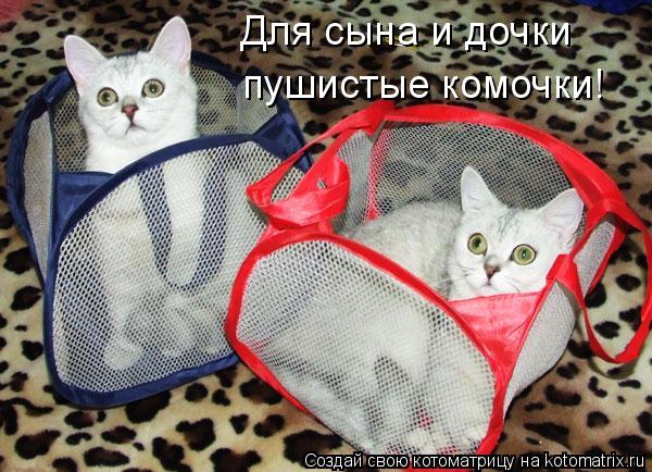 Котоматрица: Для сына и дочки пушистые комочки!