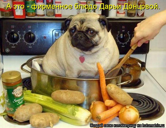 Котоматрица: А это - фирменное блюдо Дарьи Донцовой.