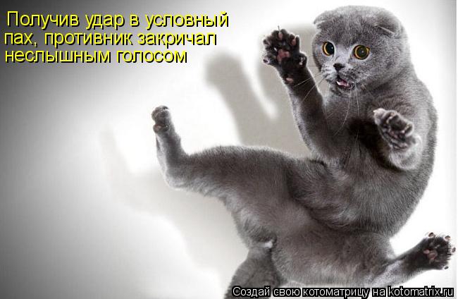 Получив удар в условный пах, противник закричал неслышным голосом... Котоматрица: Получив удар в условный пах, противник закричал неслышным голосом