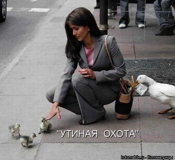 "УТИНАЯ ОХОТА"... Котоматрица: "УТИНАЯ ОХОТА"