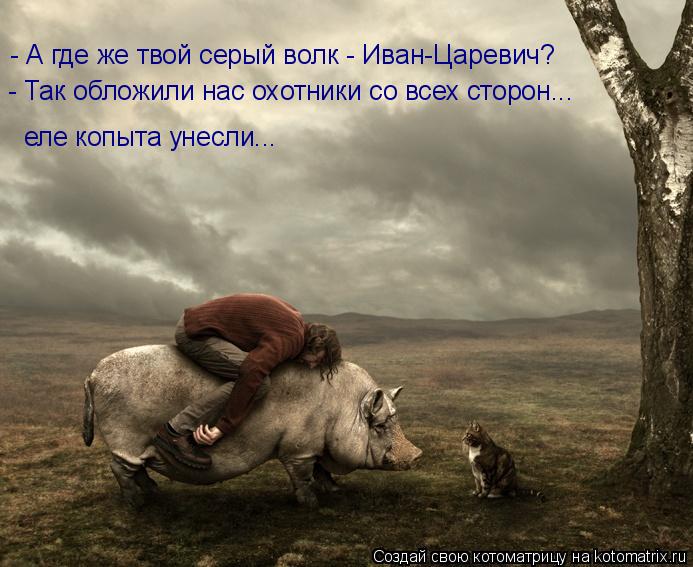 Котоматрица: - А где же твой серый волк - Иван-Царевич? - Так обложили нас охотники со всех сторон... еле копыта унесли...
