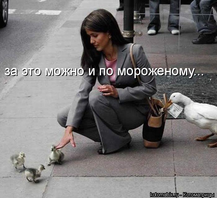Котоматрица: за это можно и по мороженому...