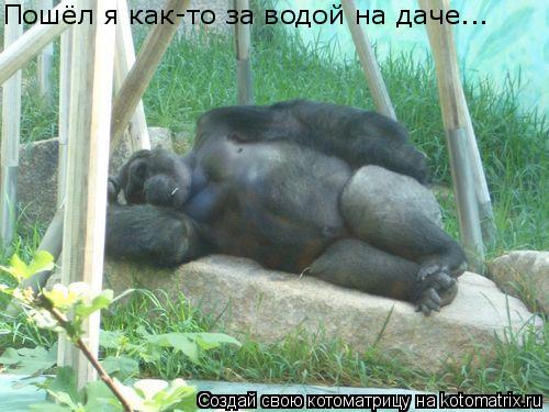 Пошёл я как-то за водой на даче...... Котоматрица: Пошёл я как-то за водой на даче...