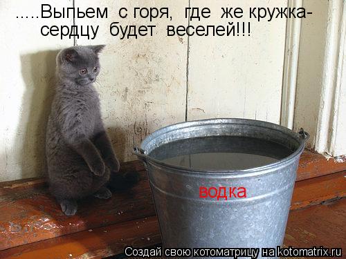 Котоматрица: .....Выпьем  с горя,  где  же кружка- сердцу  будет  веселей!!! водка
