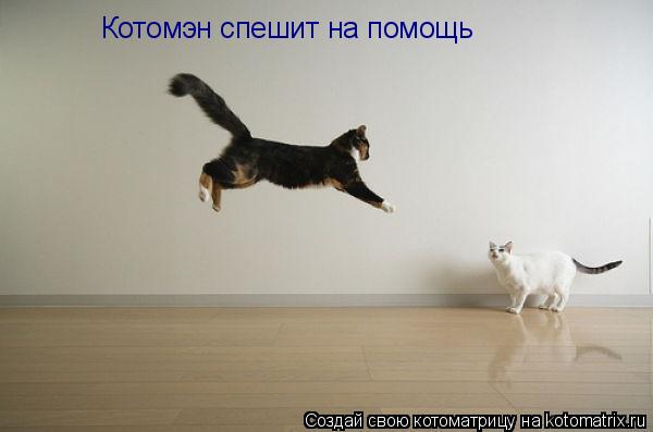 Котоматрица: Котомэн спешит на помощь