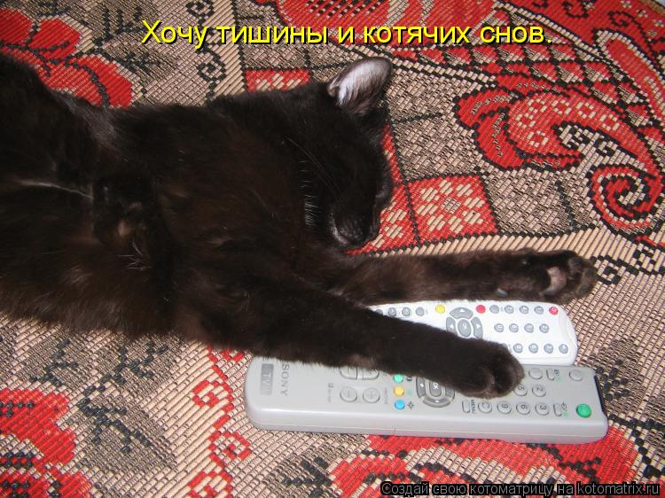 Котоматрица: Хочу тишины и котячих снов.