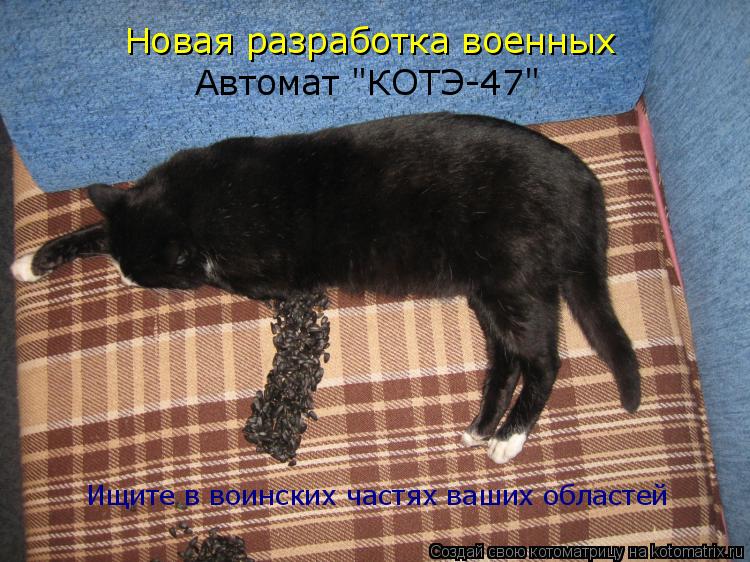 Новая разработка военных Автомат "КОТЭ-47" Ищите в воинских частях ваших областей... Котоматрица: Новая разработка военных Автомат "КОТЭ-47" Ищите в воинских частях ваших областей