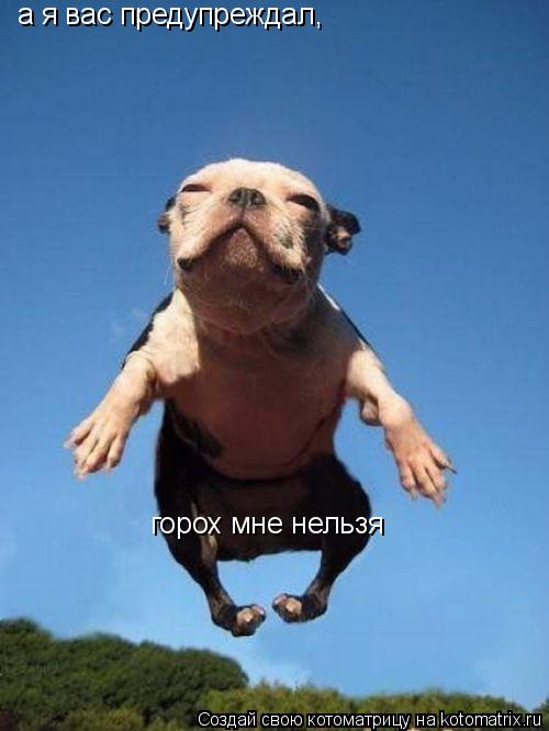а я вас предупреждал, горох мне нельзя... Котоматрица: а я вас предупреждал, горох мне нельзя