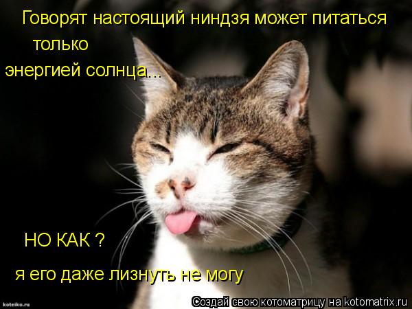 Говорят настоящий ниндзя может питаться только энергией солнца... НО КАК ? я его даже лизнуть не м... Котоматрица: Говорят настоящий ниндзя может питаться только энергией солнца... НО КАК ? я его даже лизнуть не могу