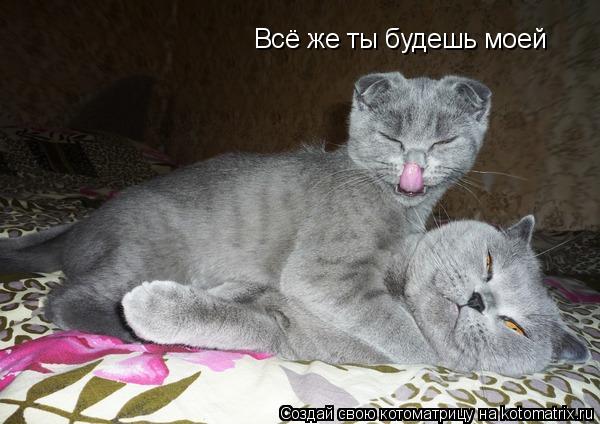 Всё же ты будешь моей... Котоматрица: Всё же ты будешь моей