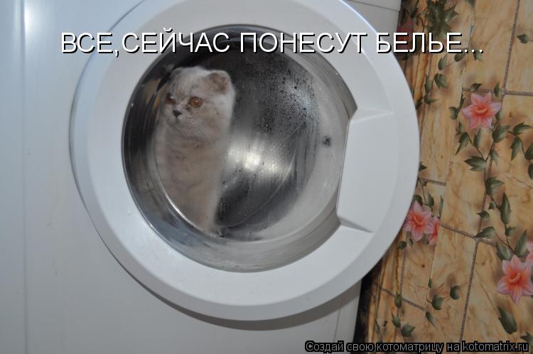 ВСЕ,СЕЙЧАС ПОНЕСУТ БЕЛЬЕ...... Котоматрица: ВСЕ,СЕЙЧАС ПОНЕСУТ БЕЛЬЕ...