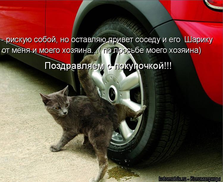 Поздравляем с покупочкой!!! - рискую собой, но оставляю привет соседу и его Шарику от меня и моего х... Котоматрица: Поздравляем с покупочкой!!! - рискую собой, но оставляю привет соседу и его Шарику от меня и моего хозяина...( по просьбе моего хозяина)
