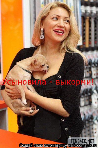Усыновила - выкорми! Усыновила - выкорми!... Котоматрица: Усыновила - выкорми! Усыновила - выкорми!