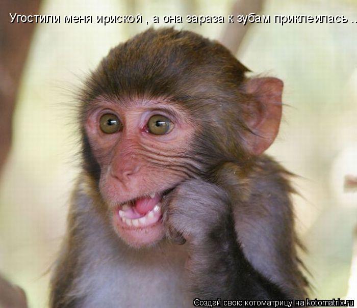 Угостили меня ириской , а она зараза к зубам приклеилась ...... Котоматрица: Угостили меня ириской , а она зараза к зубам приклеилась ...