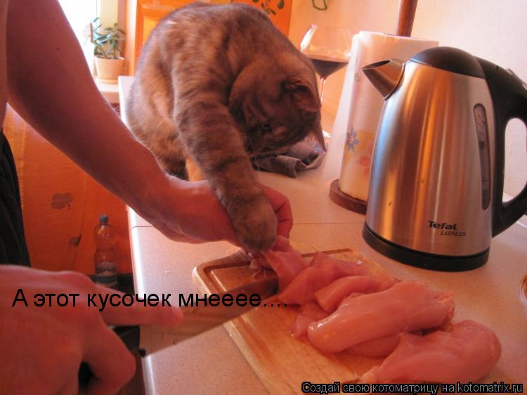 A этот кусочек мнееее....... Котоматрица: A этот кусочек мнееее....