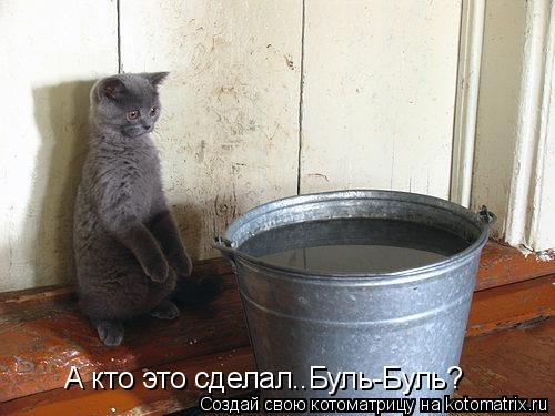 А кто это сделал..Буль-Буль?... Котоматрица: А кто это сделал..Буль-Буль?