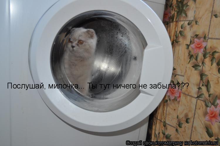 Послушай, милочка... Ты тут ничего не забыла???... Котоматрица: Послушай, милочка... Ты тут ничего не забыла???