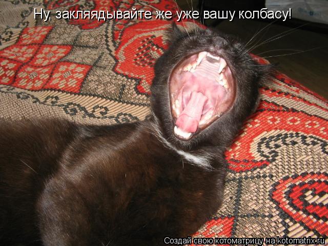 Ну, закляядывайте же уже вашу колбасу!... Котоматрица: Ну, закляядывайте же уже вашу колбасу!