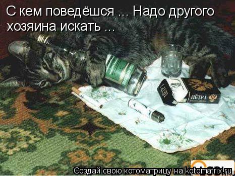 С кем поведёшся ... Надо другого хозяина искать ...... Котоматрица: С кем поведёшся ... Надо другого хозяина искать ...