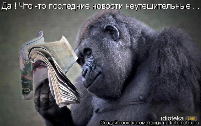 Да ! Что -то последние новости неутешительные ...... Котоматрица: Да ! Что -то последние новости неутешительные ...