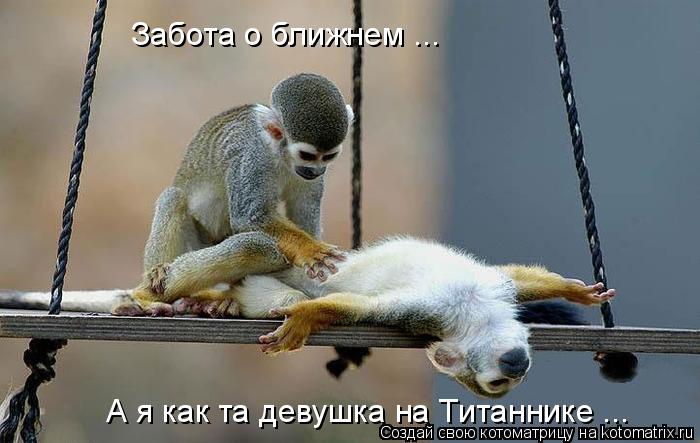 Забота о ближнем ... А я как та девушка на Титаннике ...... Котоматрица: Забота о ближнем ... А я как та девушка на Титаннике ...