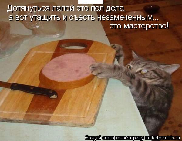Котоматрица: Дотянуться лапой это пол дела,  а вот утащить и съесть незамеченным... это мастерство!