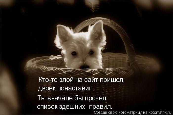 Кто-то злой на сайт пришел, двоек понаставил. Ты вначале бы прочел список здешних правил.... Котоматрица: Кто-то злой на сайт пришел, двоек понаставил. Ты вначале бы прочел список здешних правил.