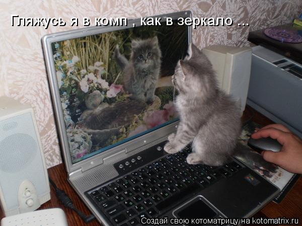 Котоматрица: Гляжусь я в комп , как в зеркало ...