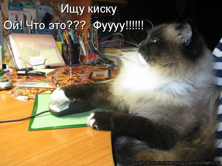 Ищу киску Ой! Что это??? Фуууу!!!!!!... Котоматрица: Ищу киску Ой! Что это??? Фуууу!!!!!!