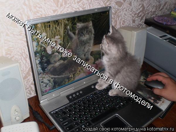 Котоматрица: может быть мне тоже записаться в фотомодели