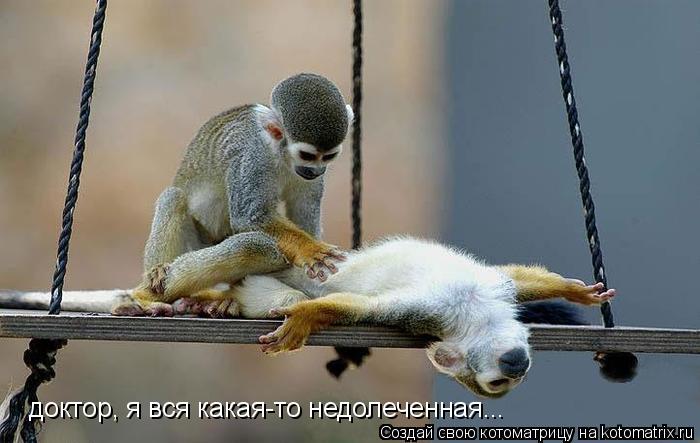 доктор, я вся какая-то недолеченная...... Котоматрица: доктор, я вся какая-то недолеченная...