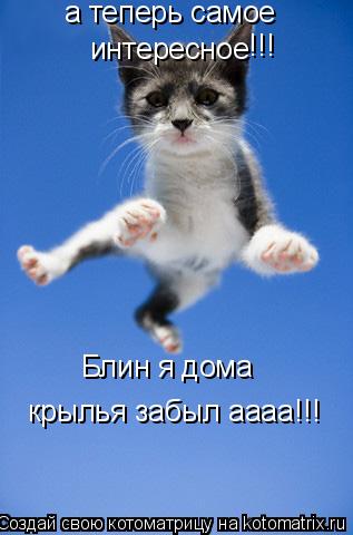 а теперь самое интересное !!! Блин я дома крылья забыл аааа!!!... Котоматрица: а теперь самое интересное !!! Блин я дома крылья забыл аааа!!!