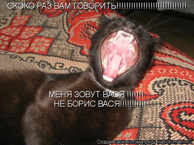 СКОКО РАЗ ВАМ ГОВОРИТЬ!!!!!!!!!!!!!!!!!!!!!!!!!!!!! МЕНЯ ЗОВУТ ВАСЯ !!!!!!! НЕ БОРИС ВАСЯ!!!!!!!!!!!... Котоматрица: СКОКО РАЗ ВАМ ГОВОРИТЬ!!!!!!!!!!!!!!!!!!!!!!!!!!!!! МЕНЯ ЗОВУТ ВАСЯ !!!!!!! НЕ БОРИС ВАСЯ!!!!!!!!!!!