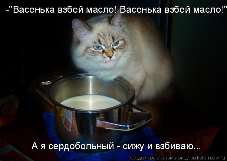 -"Васенька взбей масло! Васенька взбей масло!" А я сердобольный - сижу и взбиваю...... Котоматрица: -"Васенька взбей масло! Васенька взбей масло!" А я сердобольный - сижу и взбиваю...