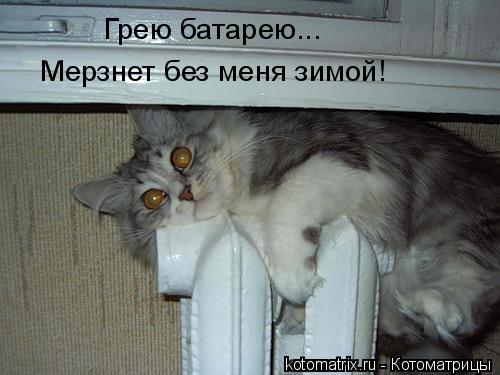 Грею батарею... Мерзнет без меня зимой!... Котоматрица: Грею батарею... Мерзнет без меня зимой!