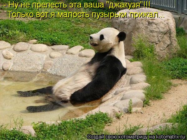 Котоматрица: - Ну не прелесть эта ваша "джакузя"!!! Только вот я малость пузырьки прижал...