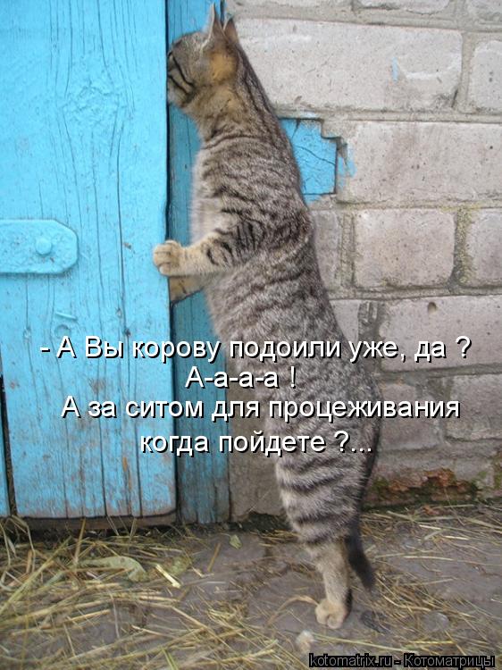 - А Вы корову подоили уже, да ? А-а-а-а ! А за ситом для процеживания когда пойдете ?...... Котоматрица: - А Вы корову подоили уже, да ? А-а-а-а ! А за ситом для процеживания когда пойдете ?...