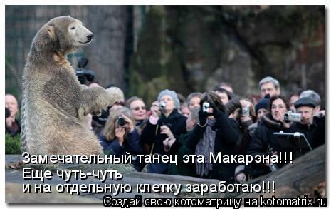 Котоматрица: Замечательный танец эта Макарэна!!! Еще чуть-чуть  и на отдельную клетку заработаю!!!