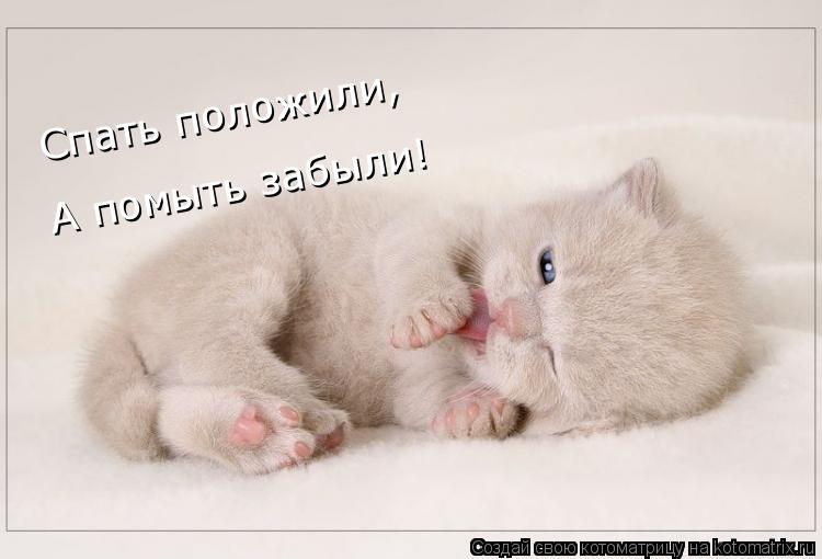 Спать положили, Спать положили, Спать положили, А помыть забыли!... Котоматрица: Спать положили, Спать положили, Спать положили, А помыть забыли!